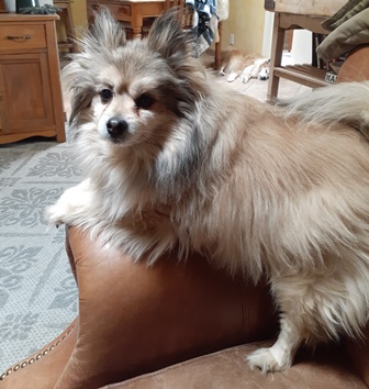 bentlee