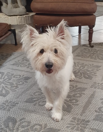 duncan